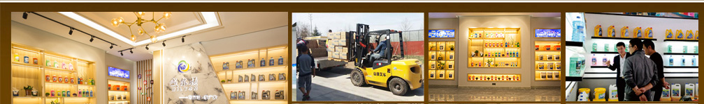 濰坊威爾頓科技有限公司廠容廠貌